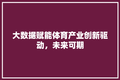 大数据赋能体育产业创新驱动，未来可期