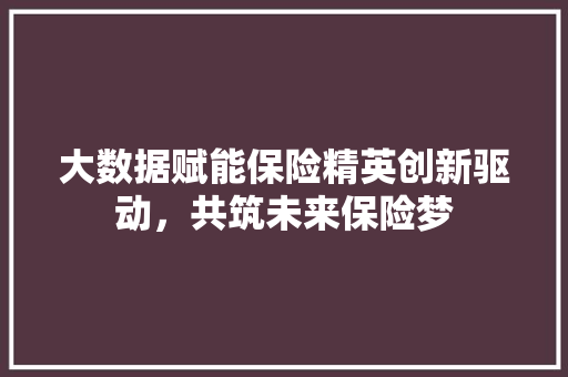 大数据赋能保险精英创新驱动，共筑未来保险梦  第1张