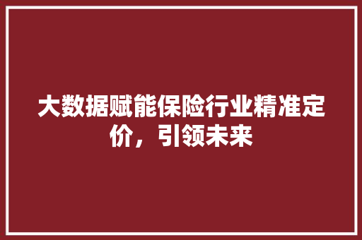 大数据赋能保险行业精准定价，引领未来