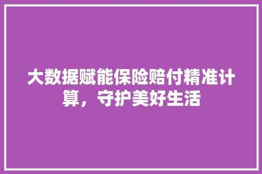 大数据赋能保险赔付精准计算，守护美好生活