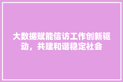 大数据赋能信访工作创新驱动，共建和谐稳定社会