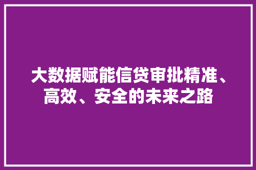 大数据赋能信贷审批精准、高效、安全的未来之路  第1张
