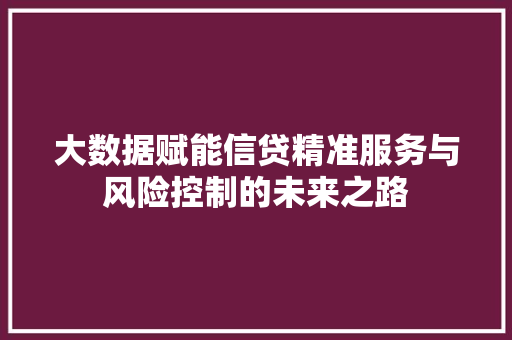 大数据赋能信贷精准服务与风险控制的未来之路