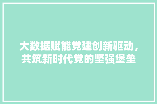 大数据赋能党建创新驱动，共筑新时代党的坚强堡垒