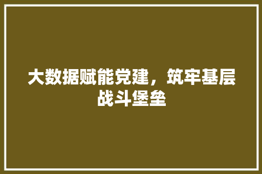 大数据赋能党建，筑牢基层战斗堡垒  第1张