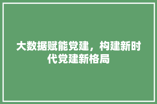 大数据赋能党建，构建新时代党建新格局