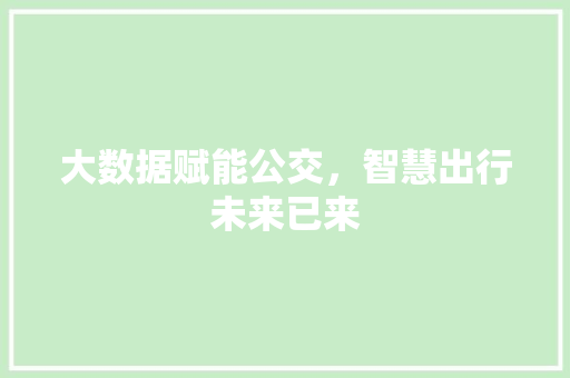 大数据赋能公交，智慧出行未来已来