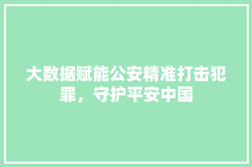 大数据赋能公安精准打击犯罪，守护平安中国  第1张