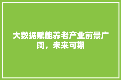 大数据赋能养老产业前景广阔，未来可期  第1张