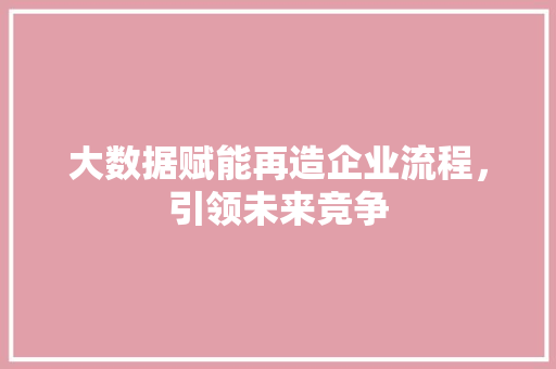 大数据赋能再造企业流程，引领未来竞争