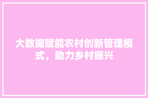 大数据赋能农村创新管理模式，助力乡村振兴
