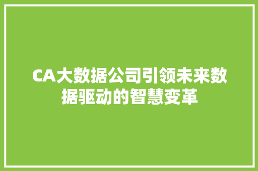 CA大数据公司引领未来数据驱动的智慧变革