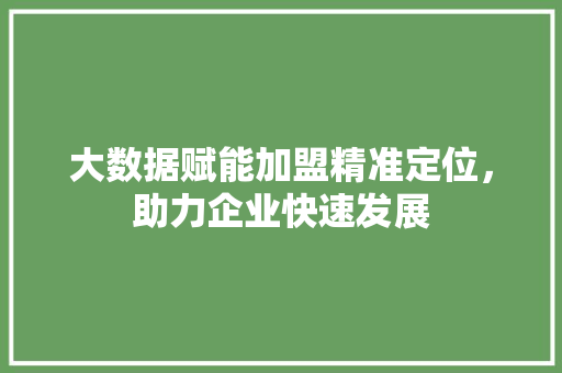 大数据赋能加盟精准定位，助力企业快速发展  第1张