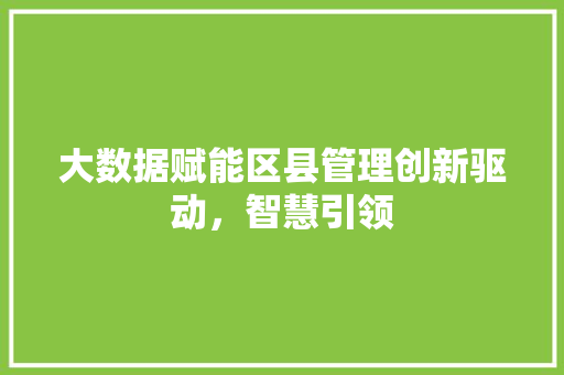 大数据赋能区县管理创新驱动，智慧引领