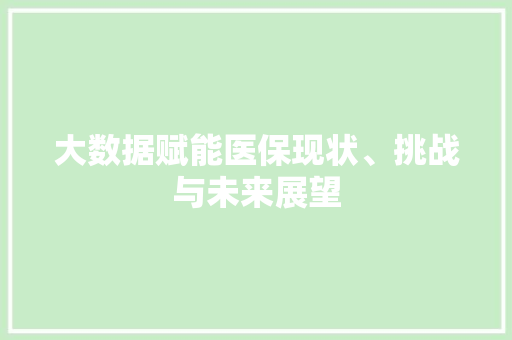 大数据赋能医保现状、挑战与未来展望