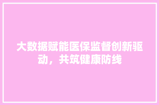 大数据赋能医保监督创新驱动，共筑健康防线