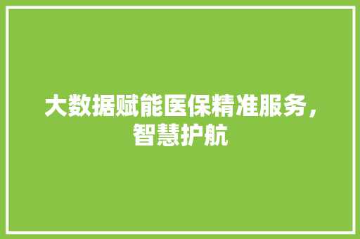 大数据赋能医保精准服务，智慧护航