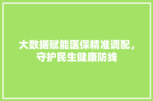 大数据赋能医保精准调配，守护民生健康防线
