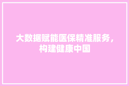 大数据赋能医保精准服务，构建健康中国