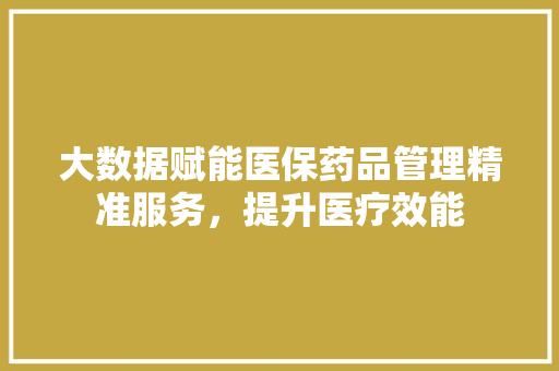 大数据赋能医保药品管理精准服务，提升医疗效能