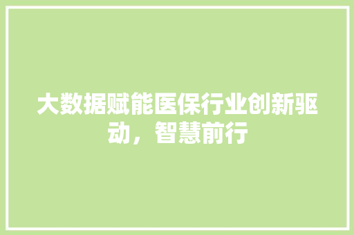 大数据赋能医保行业创新驱动，智慧前行
