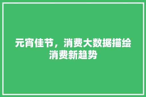 元宵佳节，消费大数据描绘消费新趋势