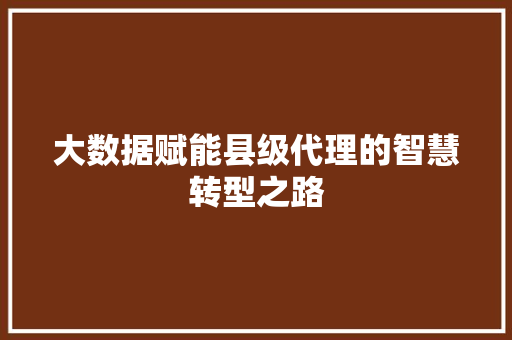 大数据赋能县级代理的智慧转型之路