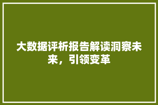 大数据评析报告解读洞察未来，引领变革  第1张