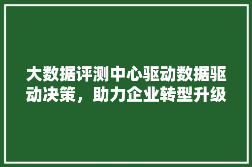 大数据评测中心驱动数据驱动决策，助力企业转型升级