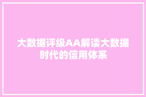 大数据评级AA解读大数据时代的信用体系