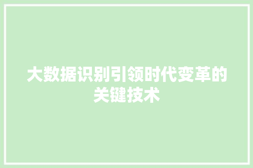 大数据识别引领时代变革的关键技术  第1张