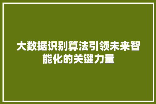 大数据识别算法引领未来智能化的关键力量