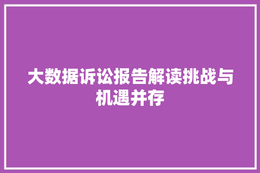 大数据诉讼报告解读挑战与机遇并存  第1张