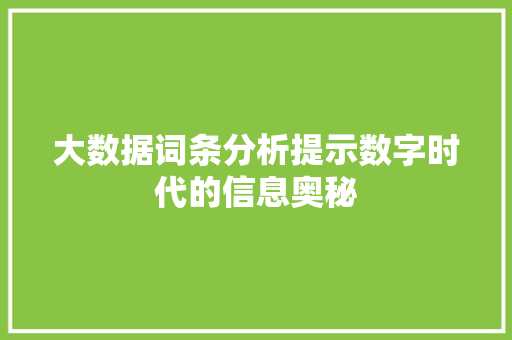 大数据词条分析提示数字时代的信息奥秘
