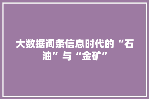 大数据词条信息时代的“石油”与“金矿”