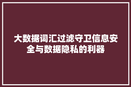 大数据词汇过滤守卫信息安全与数据隐私的利器