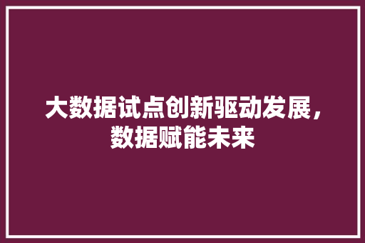 大数据试点创新驱动发展，数据赋能未来