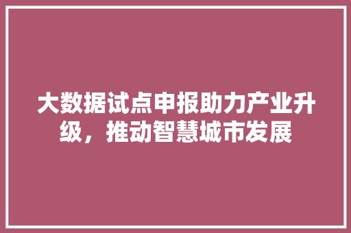 大数据试点申报助力产业升级，推动智慧城市发展