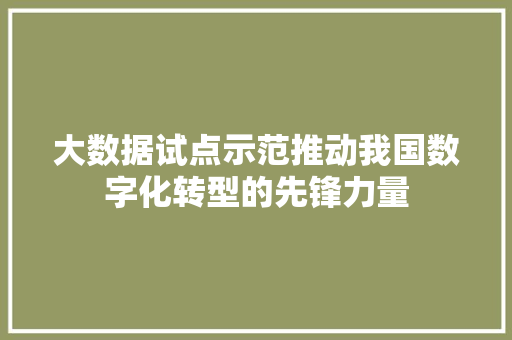 大数据试点示范推动我国数字化转型的先锋力量