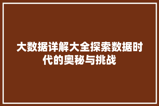 大数据详解大全探索数据时代的奥秘与挑战