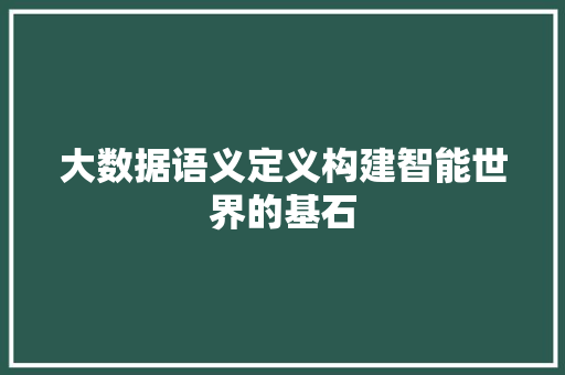 大数据语义定义构建智能世界的基石