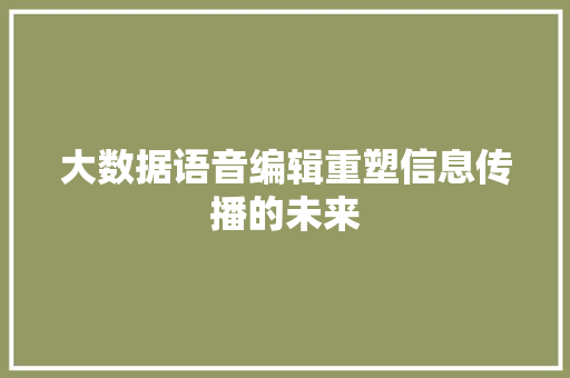 大数据语音编辑重塑信息传播的未来