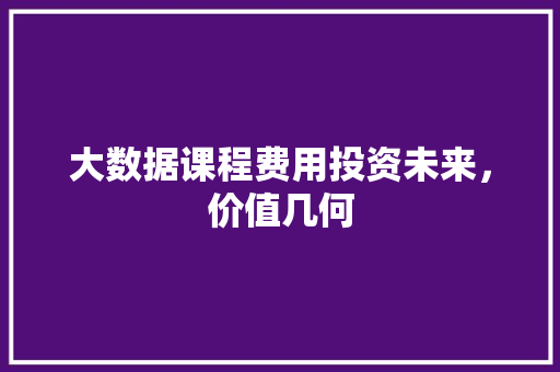 大数据课程费用投资未来，价值几何  第1张