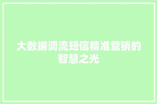 大数据调流短信精准营销的智慧之光