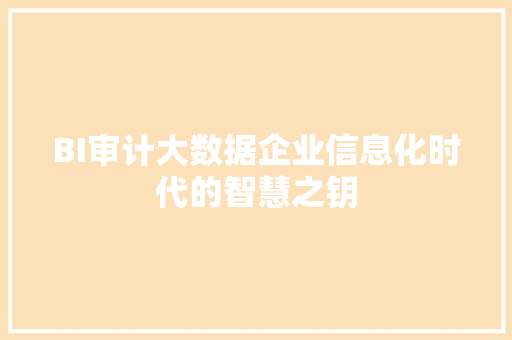 BI审计大数据企业信息化时代的智慧之钥