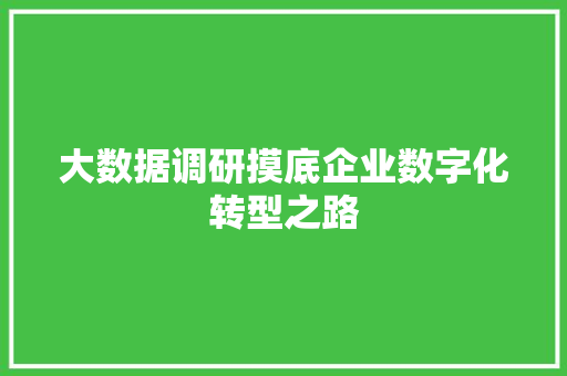 大数据调研摸底企业数字化转型之路