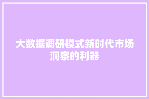 大数据调研模式新时代市场洞察的利器