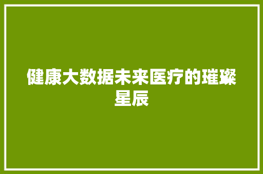 健康大数据未来医疗的璀璨星辰