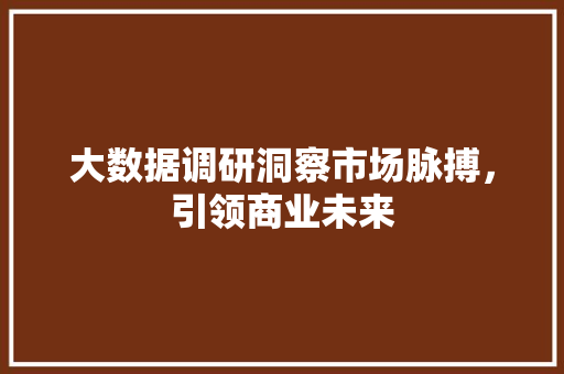 大数据调研洞察市场脉搏，引领商业未来
