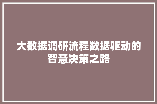 大数据调研流程数据驱动的智慧决策之路